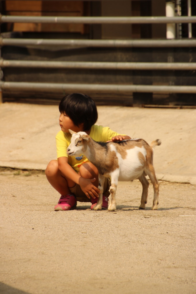 f:id:kab-log:20160924130800j:plain