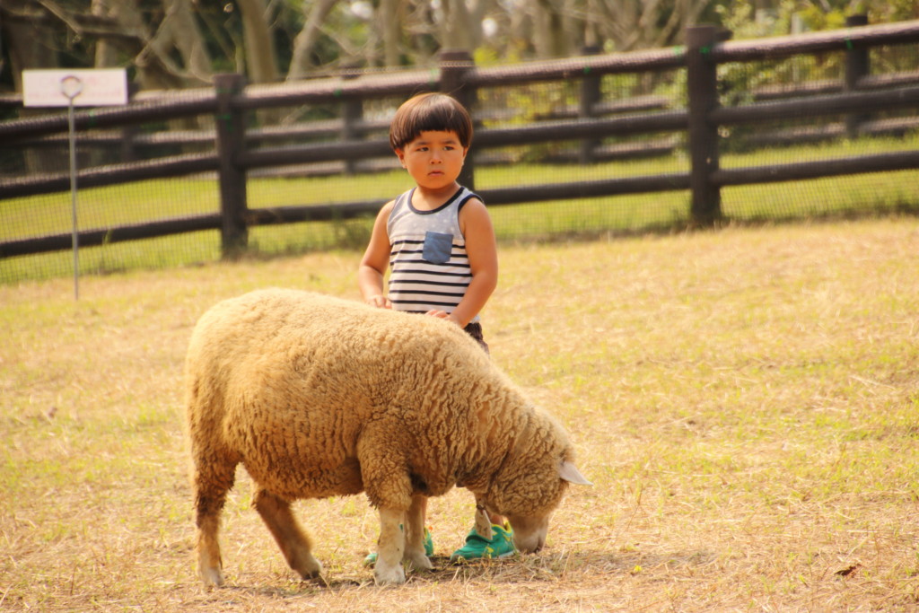 f:id:kab-log:20160924134130j:plain