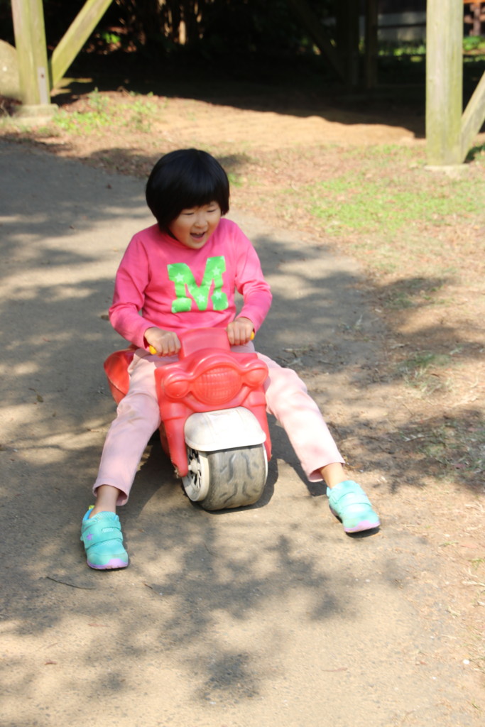 f:id:kab-log:20161103102437j:plain