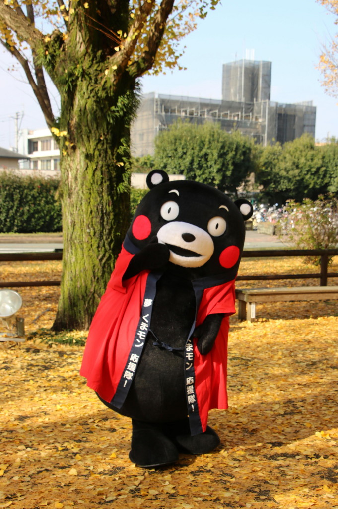 f:id:kab-log:20161129100621j:plain