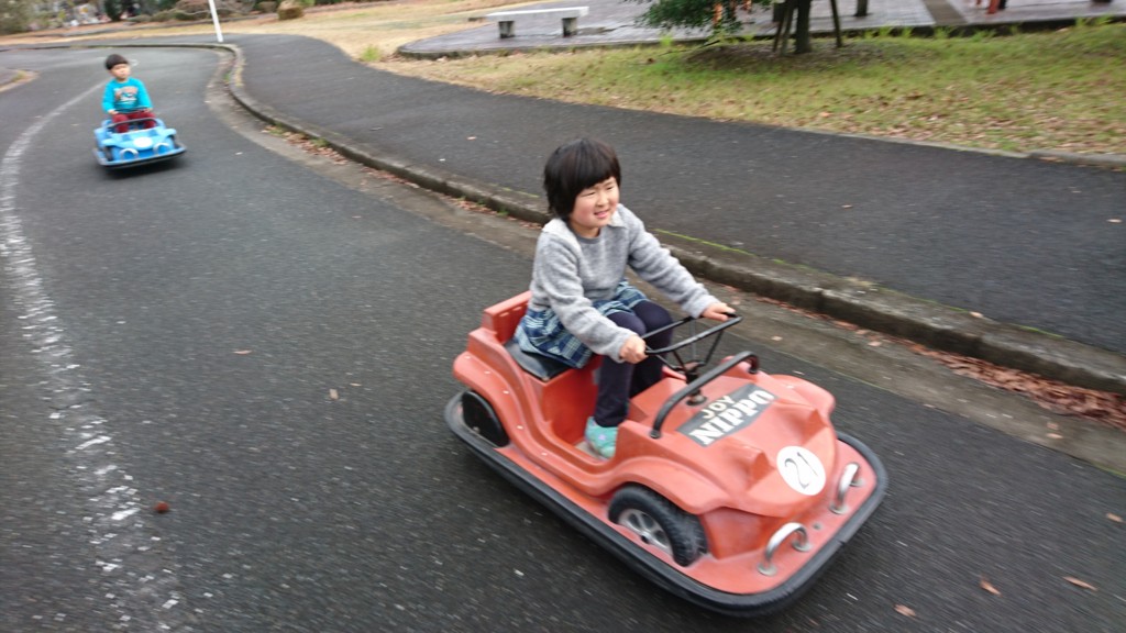 f:id:kab-log:20170109093456j:plain f:id:kab-log:20170109093456j:plain