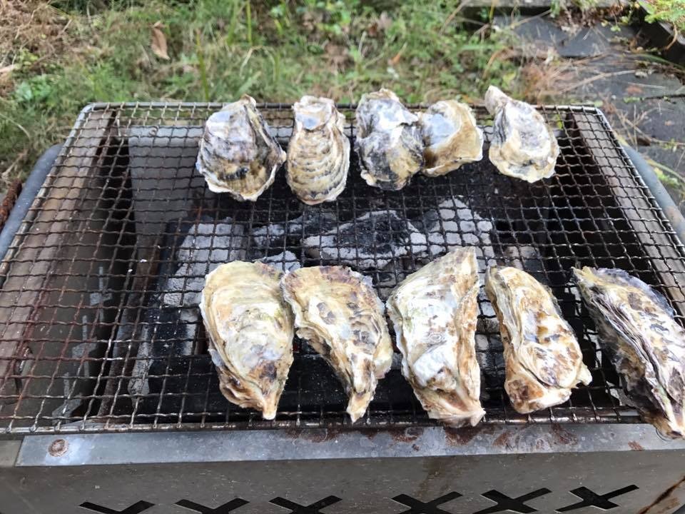 f:id:kab-log:20170109165243j:plain