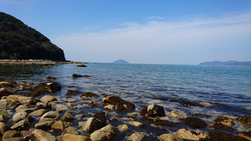 f:id:kab-log:20170311131236j:plain f:id:kab-log:20170311131236j:plain