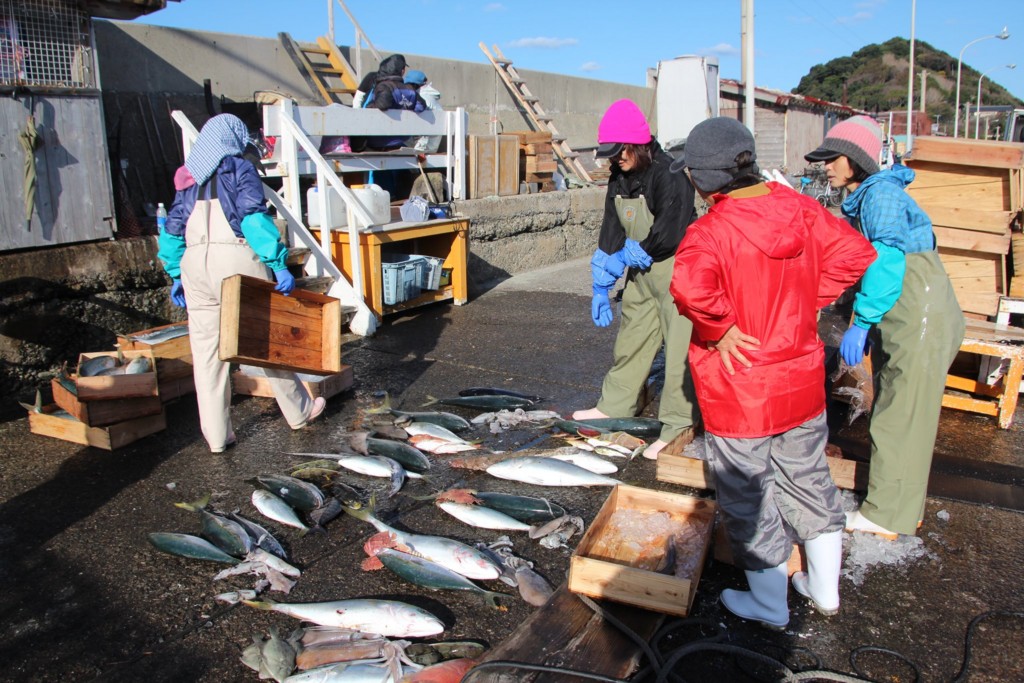 f:id:kab-log:20170410110551j:plain