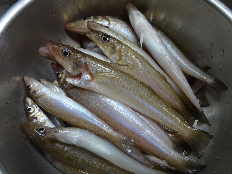 f:id:kab-log:20170504144122j:plain