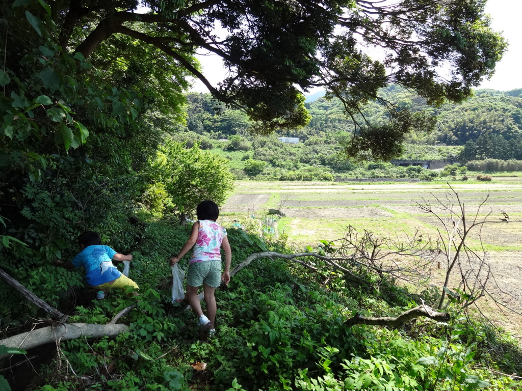 f:id:kab-log:20170513140845j:plain f:id:kab-log:20170513140845j:plain