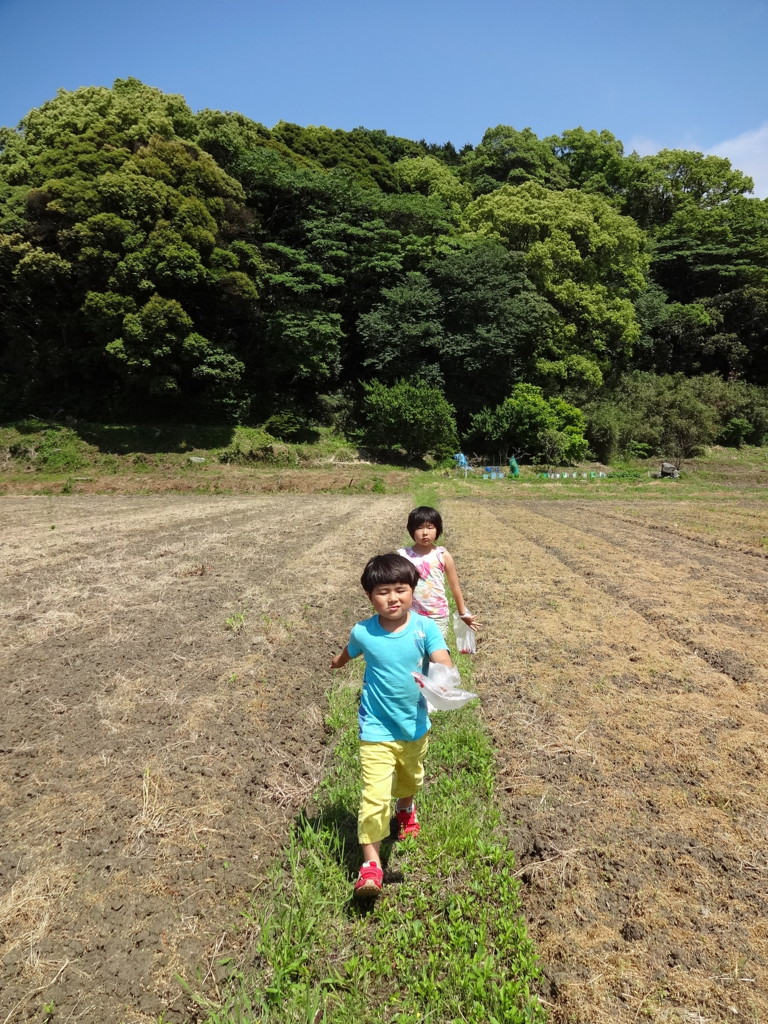 f:id:kab-log:20170513141249j:plain f:id:kab-log:20170513141249j:plain