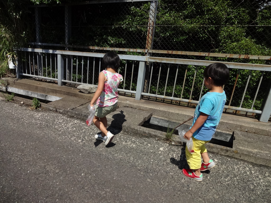 f:id:kab-log:20170513143515j:plain f:id:kab-log:20170513143515j:plain