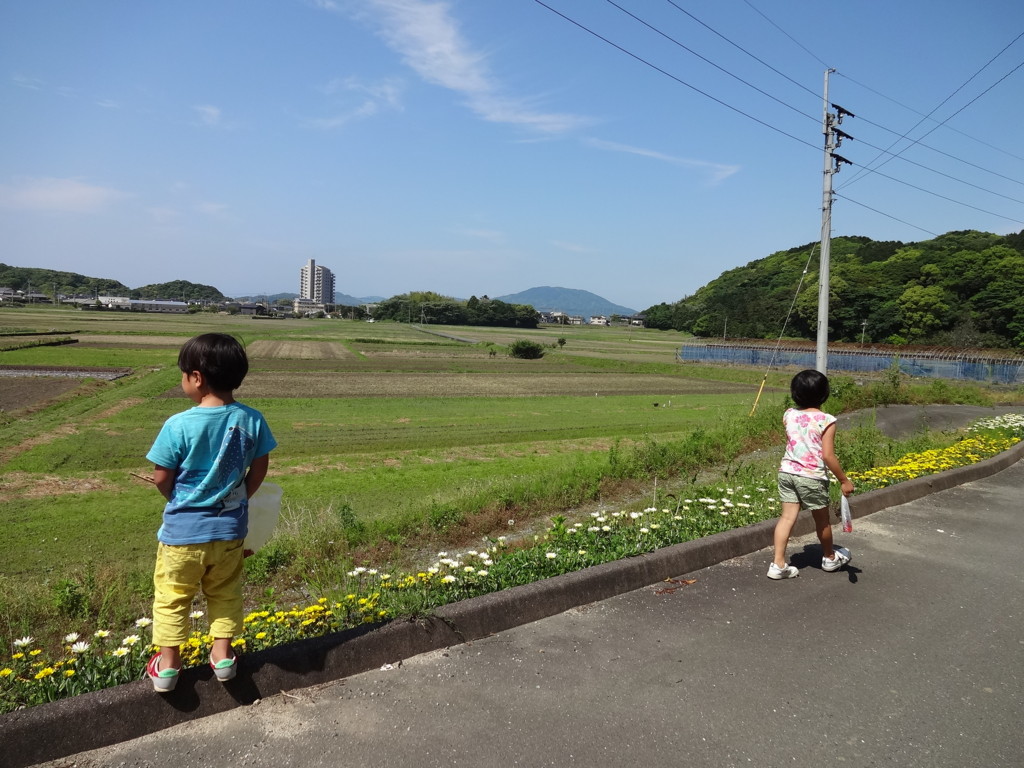f:id:kab-log:20170513144931j:plain f:id:kab-log:20170513144931j:plain