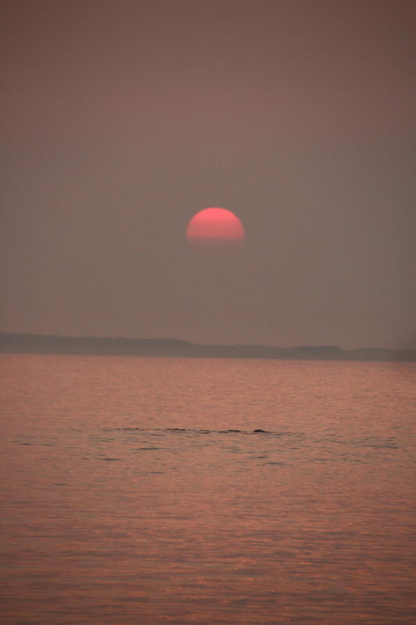 f:id:kab-log:20170609094507j:plain