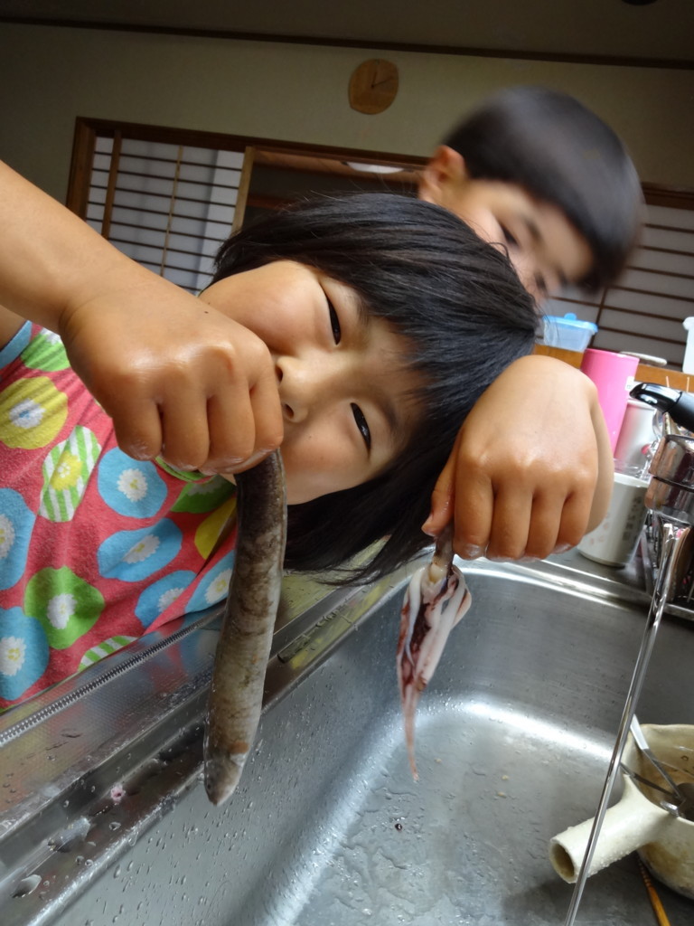 f:id:kab-log:20170610122656j:plain