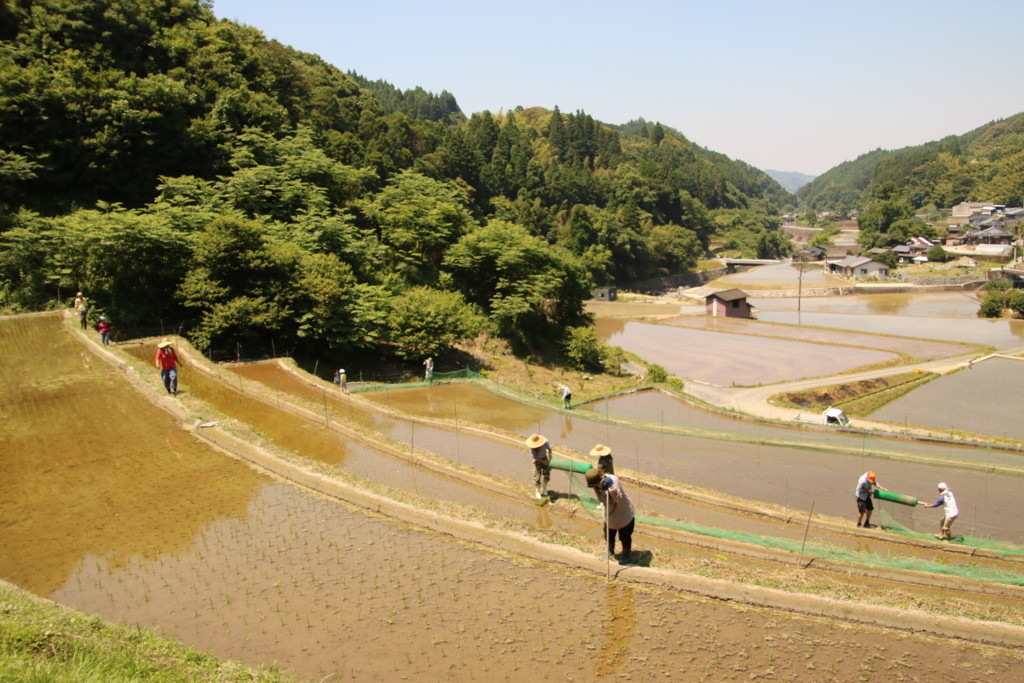 f:id:kab-log:20170618105921j:plain f:id:kab-log:20170618105921j:plain