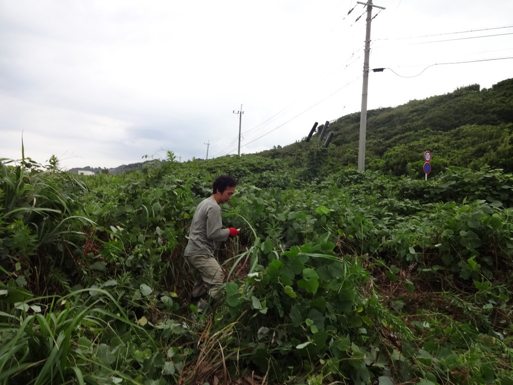f:id:kab-log:20170814072020j:plain f:id:kab-log:20170814072020j:plain