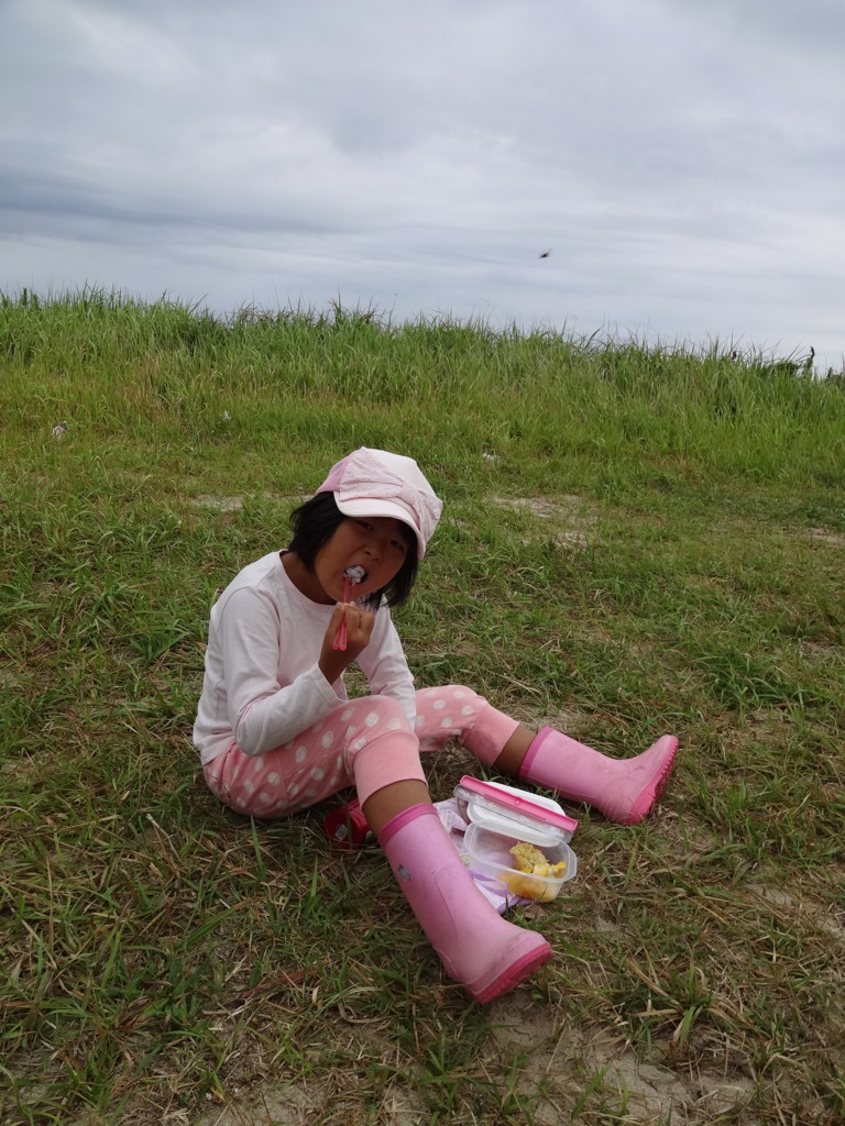 f:id:kab-log:20170814072317j:plain f:id:kab-log:20170814072317j:plain