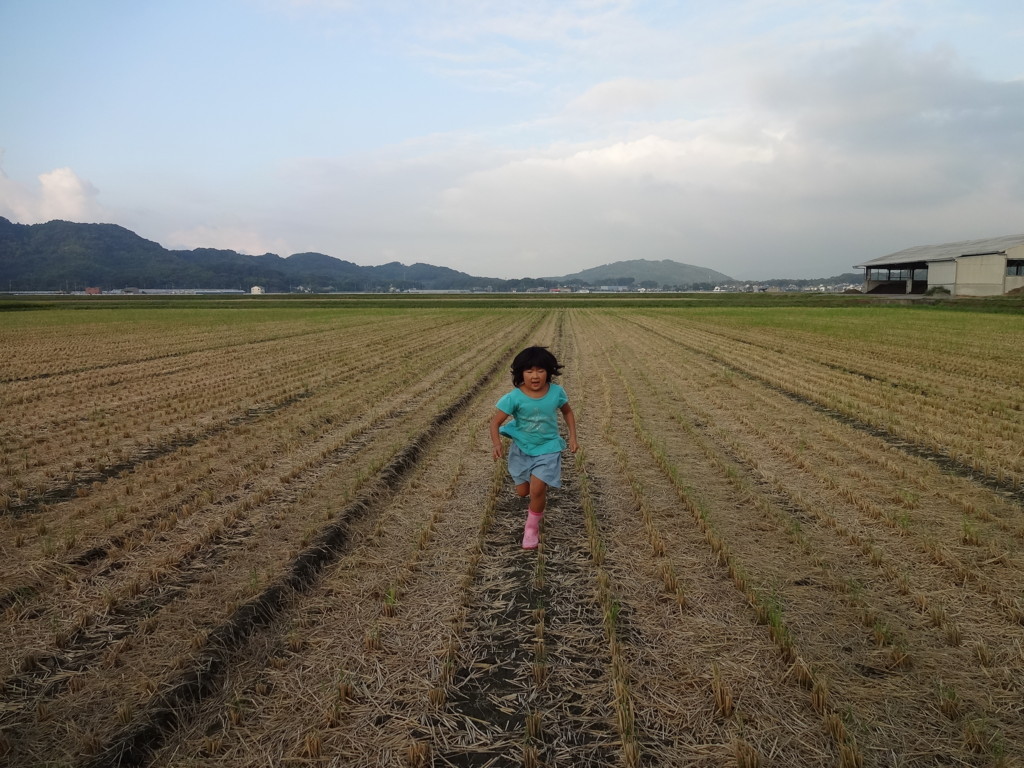 f:id:kab-log:20170922174715j:plain