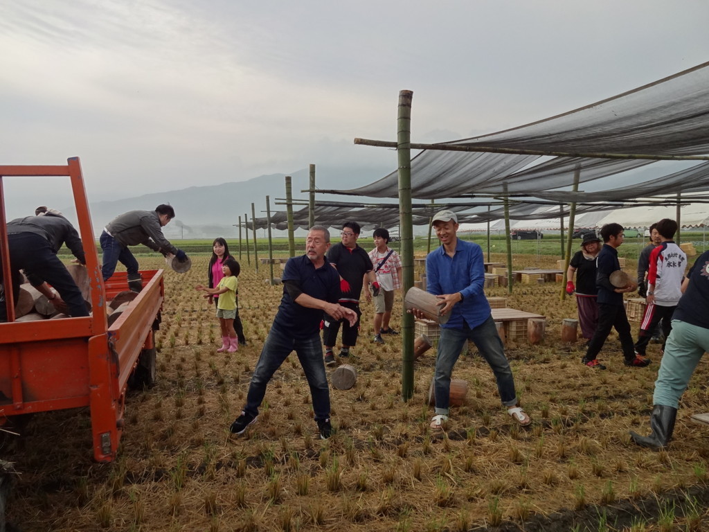 f:id:kab-log:20170923084734j:plain