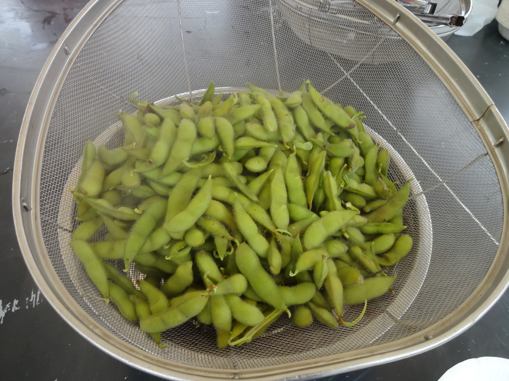 f:id:kab-log:20170923102505j:plain