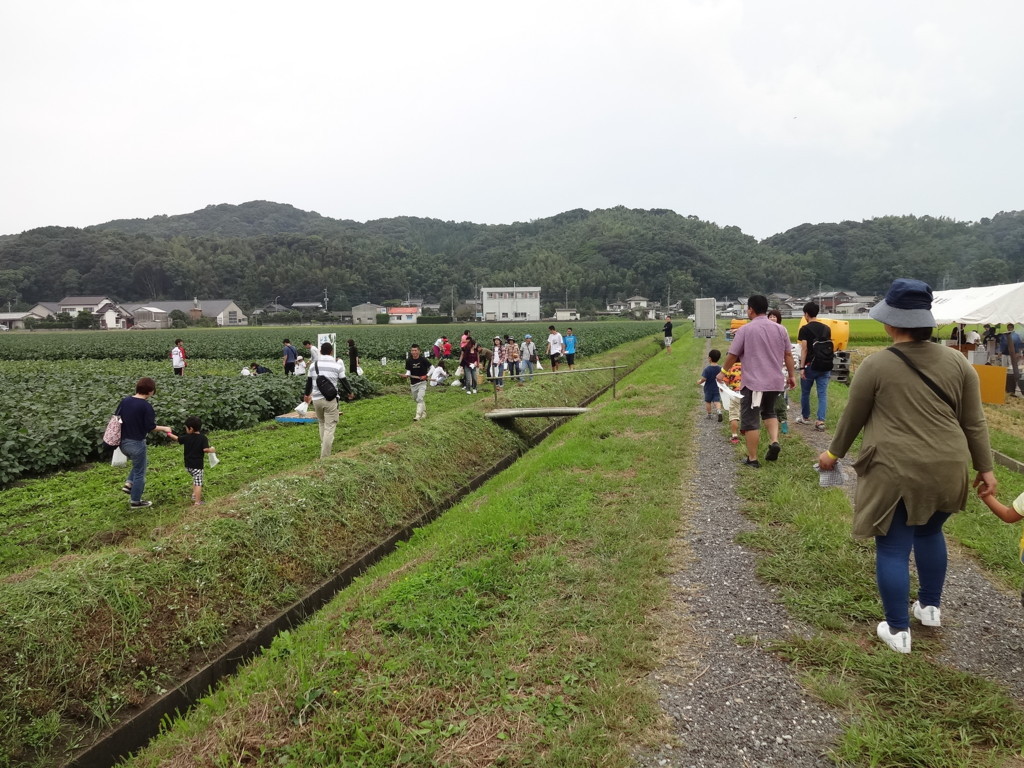 f:id:kab-log:20170923103917j:plain