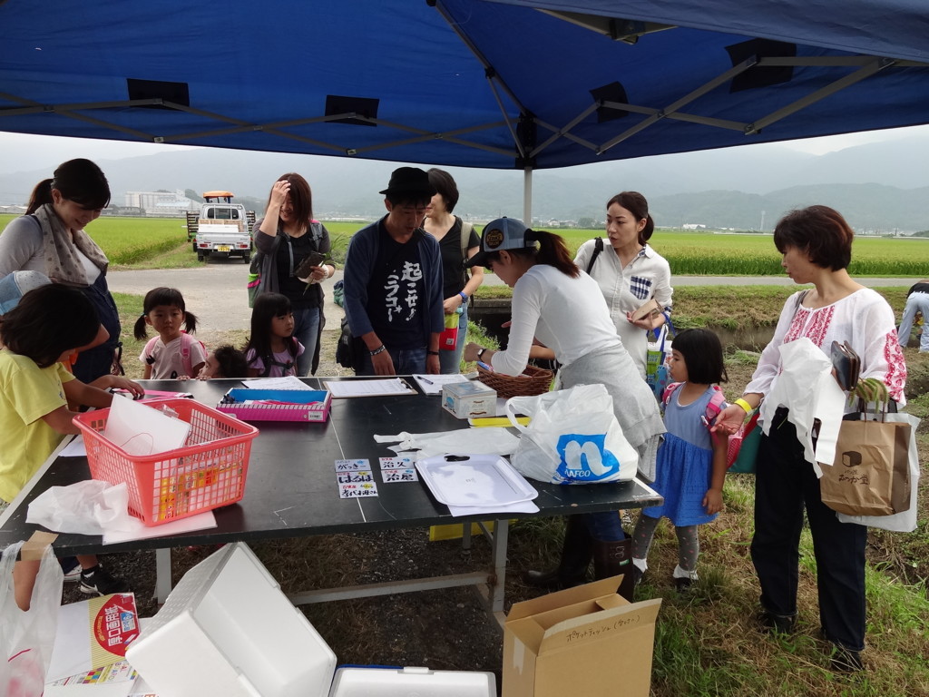 f:id:kab-log:20170923104029j:plain