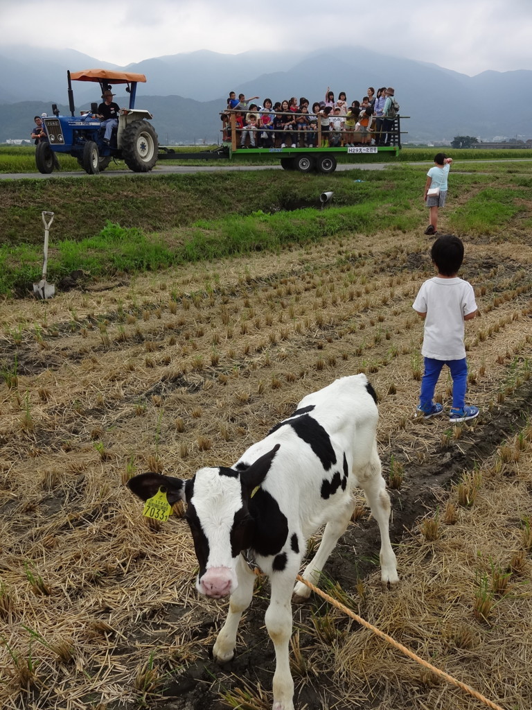 f:id:kab-log:20170923121632j:plain