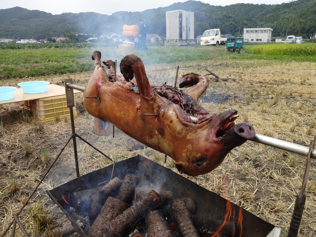 f:id:kab-log:20170923123302j:plain