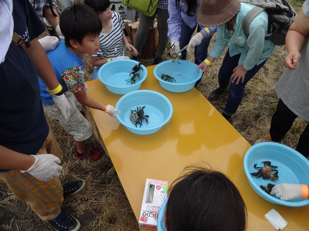 f:id:kab-log:20170923132727j:plain