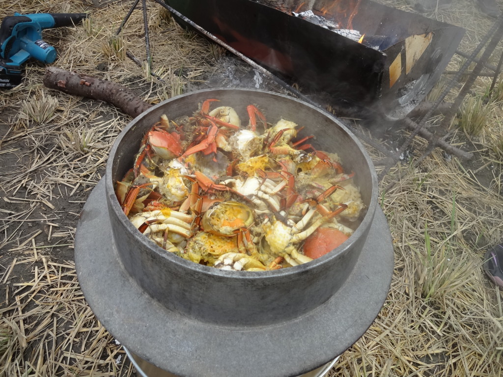 f:id:kab-log:20170923143728j:plain