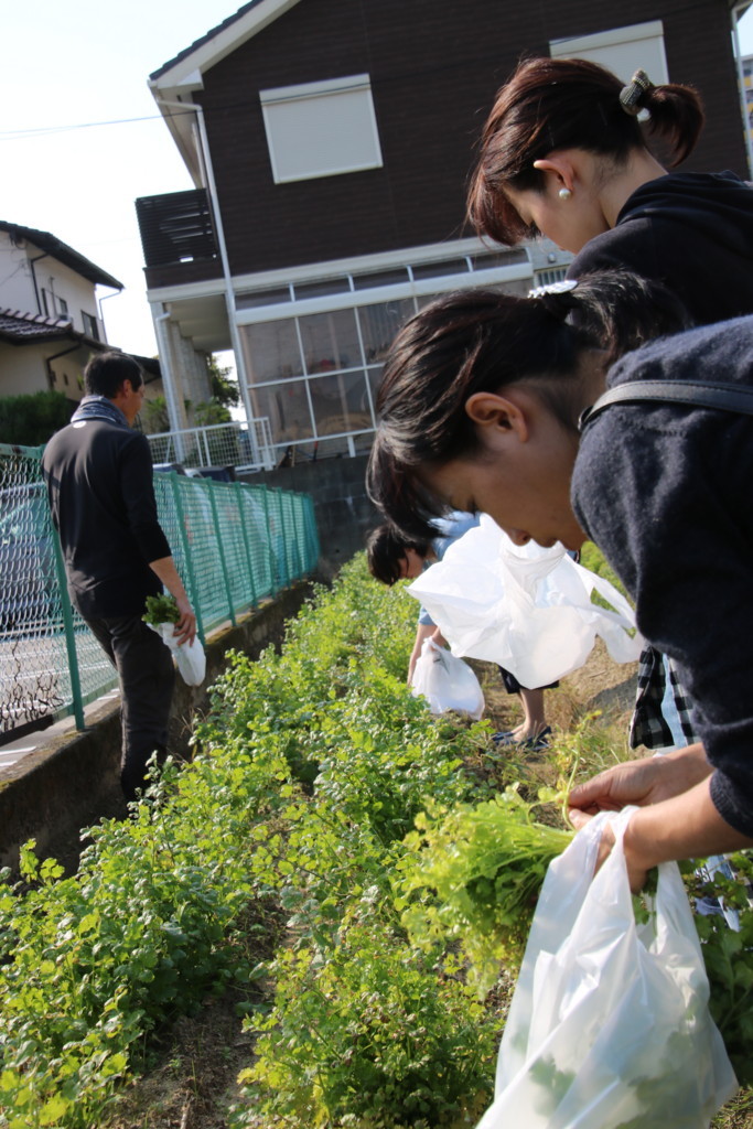 f:id:kab-log:20171027135920j:plain