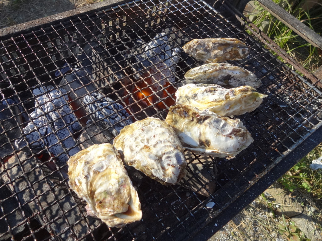 f:id:kab-log:20171105155706j:plain
