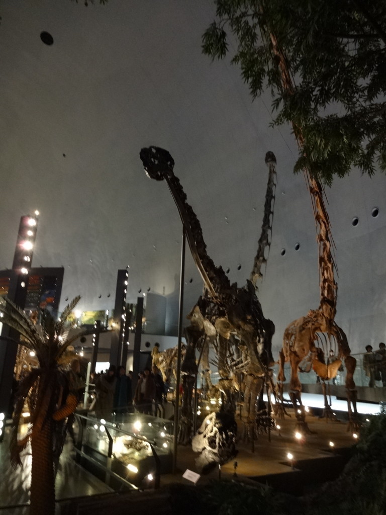 f:id:kab-log:20171119102214j:plain f:id:kab-log:20171119102214j:plain