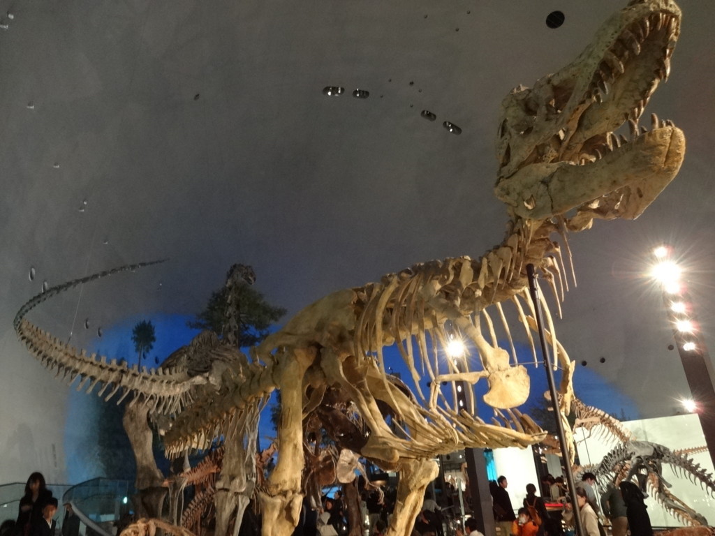 f:id:kab-log:20171119103554j:plain f:id:kab-log:20171119103554j:plain