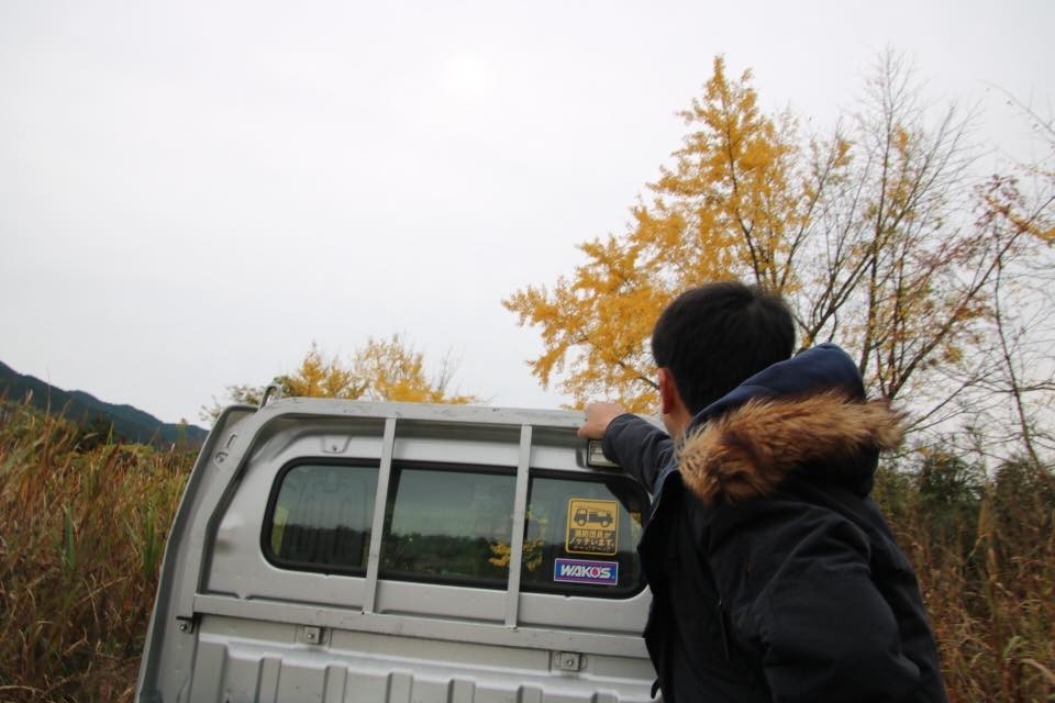 f:id:kab-log:20171119224839j:plain