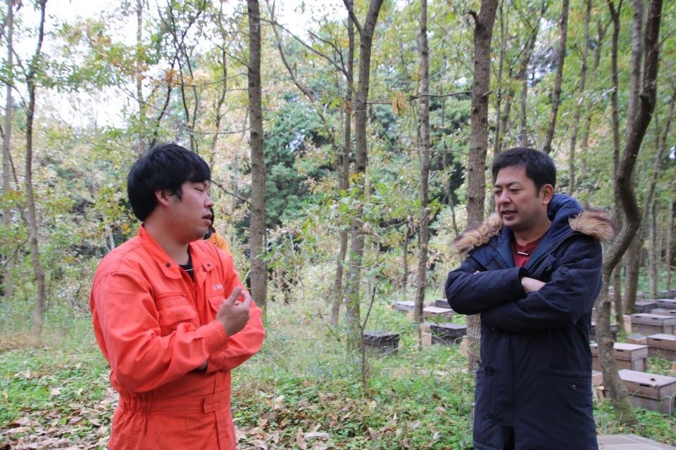 f:id:kab-log:20171119224922j:plain