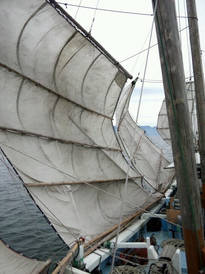 f:id:kab-log:20171128161332j:plain f:id:kab-log:20171128161332j:plain