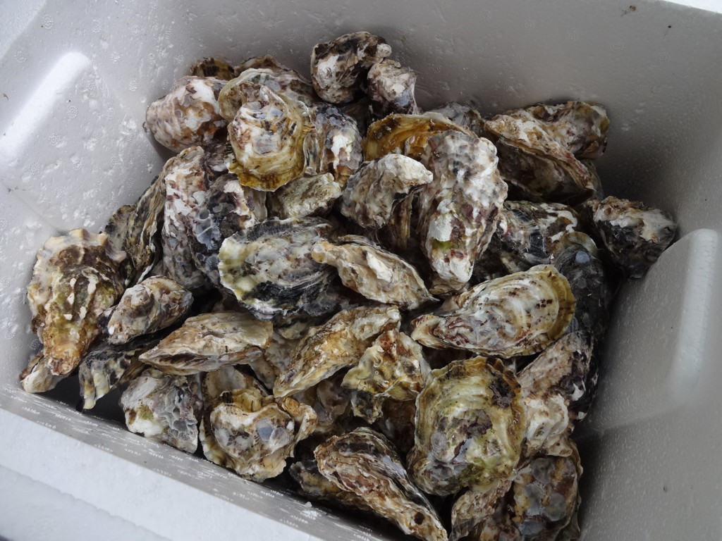 f:id:kab-log:20171229114512j:plain