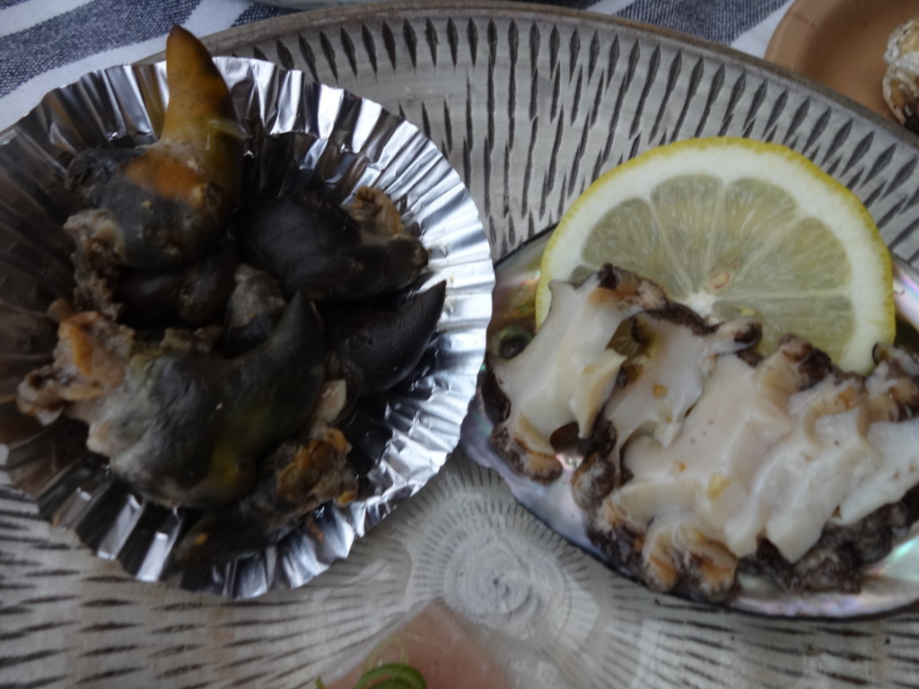 f:id:kab-log:20171229132811j:plain