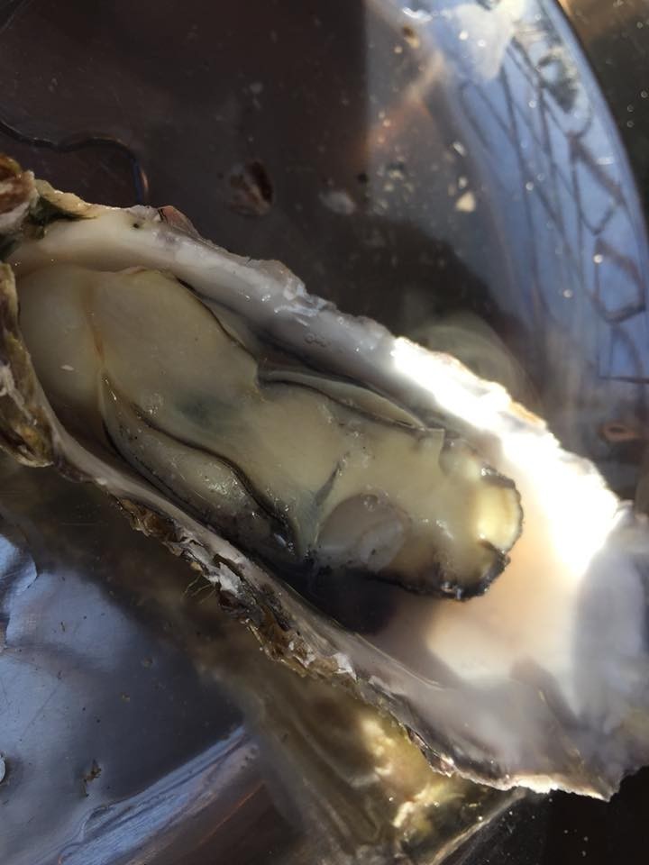 f:id:kab-log:20180107052513j:plain