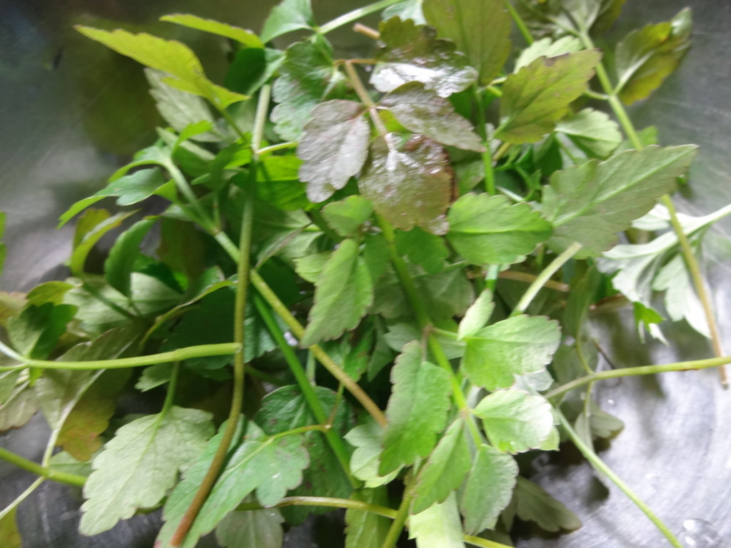 f:id:kab-log:20180107074114j:plain f:id:kab-log:20180107074114j:plain