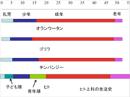 f:id:kab-log:20180129080529p:plain f:id:kab-log:20180129080529p:plain
