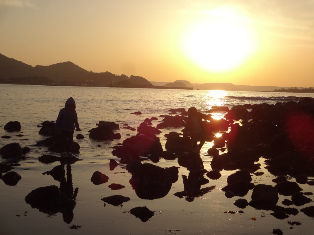 f:id:kab-log:20180217180647j:plain f:id:kab-log:20180217180647j:plain
