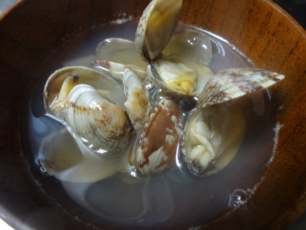 f:id:kab-log:20180303173611j:plain