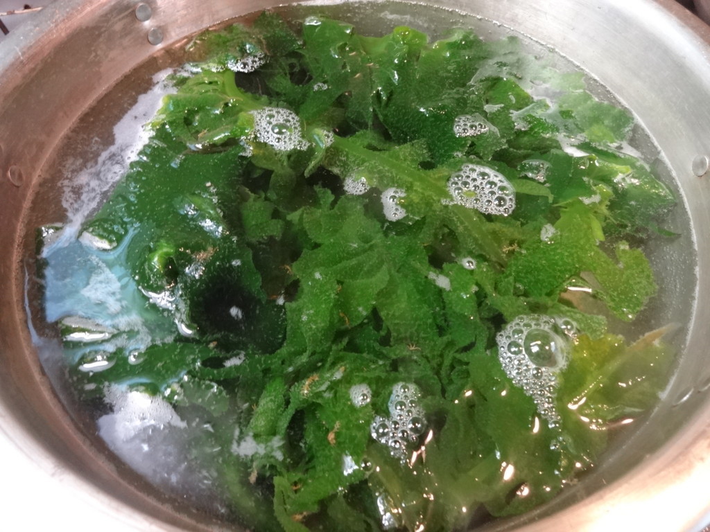 f:id:kab-log:20180304180657j:plain