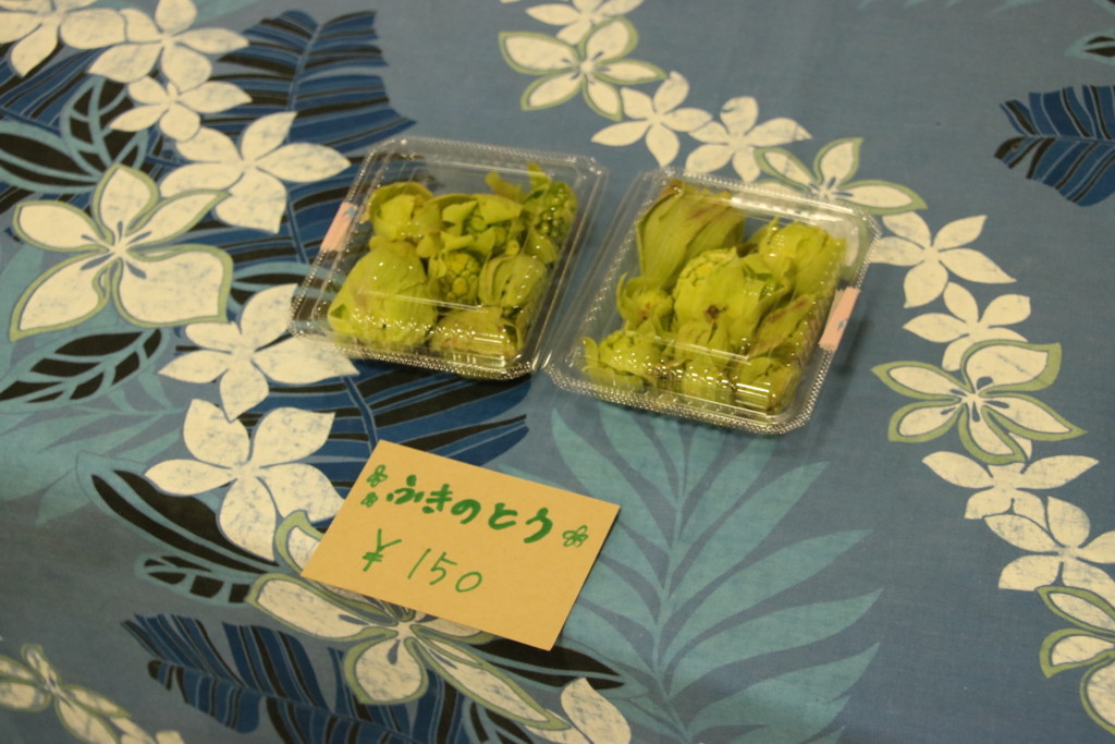 f:id:kab-log:20180325125001j:plain