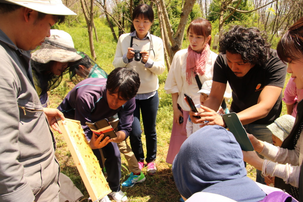 f:id:kab-log:20180413113317j:plain f:id:kab-log:20180413113317j:plain