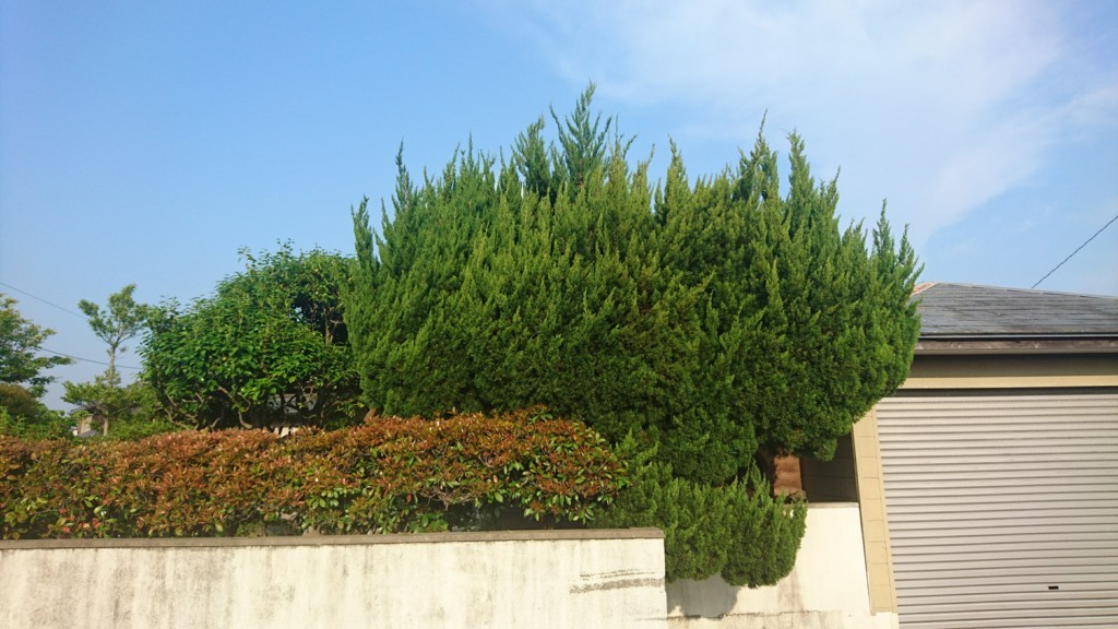 f:id:kab-log:20180429071850j:plain f:id:kab-log:20180429071850j:plain