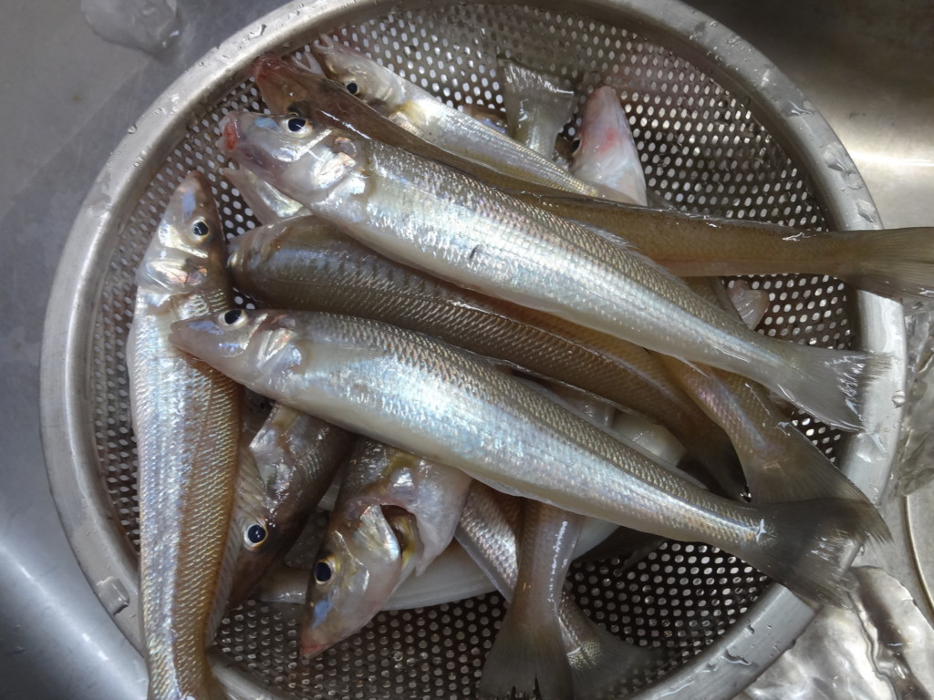 f:id:kab-log:20180506085512j:plain