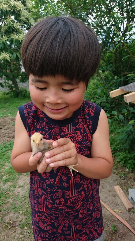 f:id:kab-log:20180527162911j:plain f:id:kab-log:20180527162911j:plain