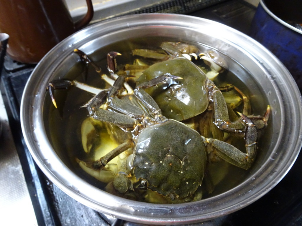 f:id:kab-log:20180729133309j:plain