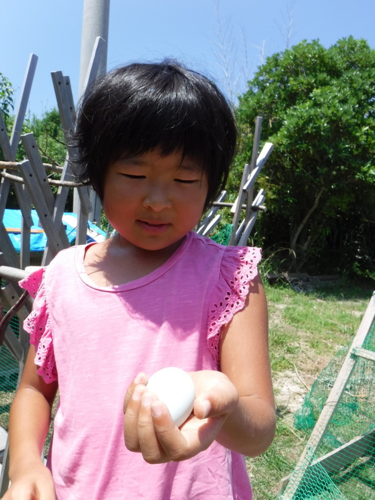 f:id:kab-log:20180805121918j:plain f:id:kab-log:20180805121918j:plain