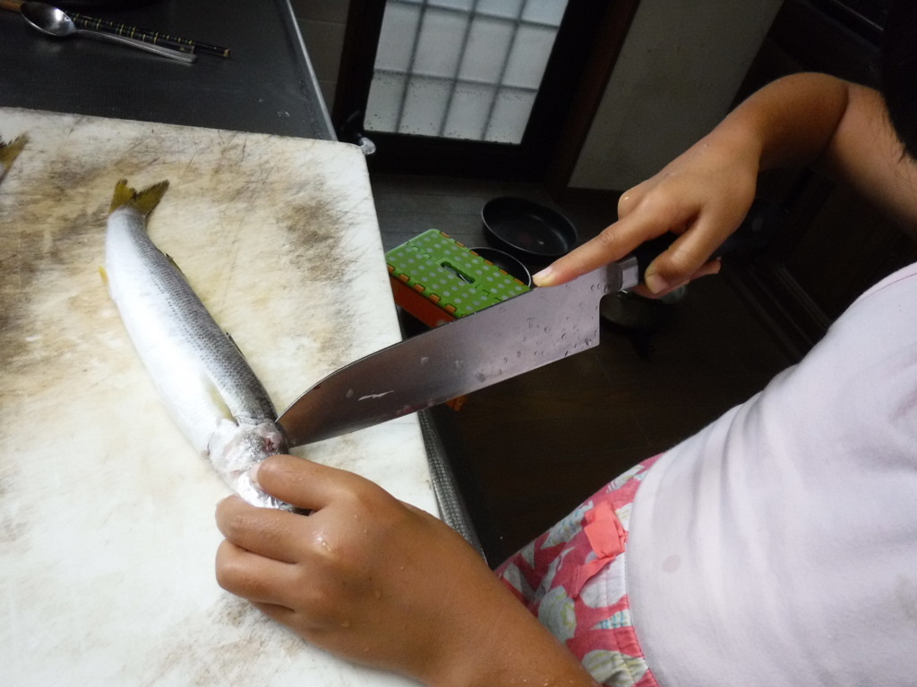 f:id:kab-log:20180825142508j:plain f:id:kab-log:20180825142508j:plain